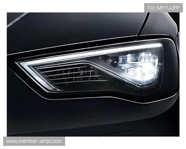 新濠天地官网提供最新游戏资讯和优惠活动，助你轻松掌握娱乐动态