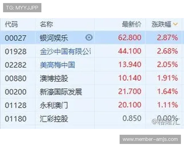 澳门六张赌牌持有者的财务状况与盈利能力分析报告